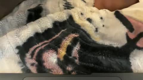 gumbywanna online show from 05-04-26, 06:31