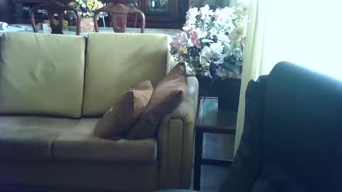 gutobhz249564 online show from 03-04-25, 06:07