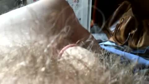 guttersnipe71 online show from 11-15-25, 02:13