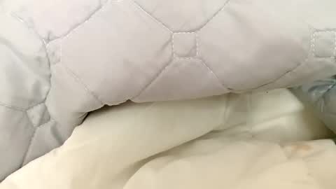 guttybeton online show from 04-27-26, 07:17