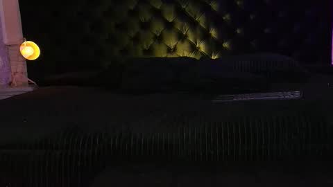 hada online show from 02-05-26, 08:02