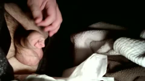 Snapshot of hailhail2 chatting on 02-02-26, 03:05 share9 online show from 02-02-26, 03:05