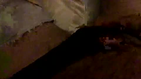 Snapshot of hairbear5 chatting on 01-10-26, 03:30 Bruce online show from 01-10-26, 03:30