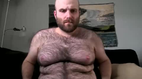Snapshot of hairiestbear chatting on 02-17-25, 07:42 Hairiest Bear online show from 02-17-25, 07:42