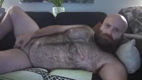 Hairiest Bear online show from 08-02-26, 09:08