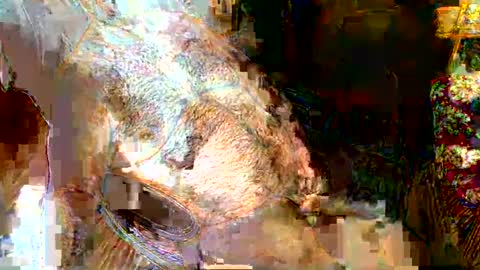 hairybear813 online show from 01-05-25, 11:44