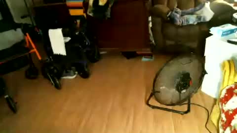 hairybear813 online show from 07-27-26, 02:51