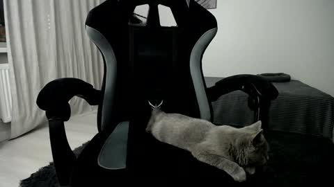 Snapshot of hairycuss chatting on 01-10-25, 05:05 Adam online show from 01-10-25, 05:05