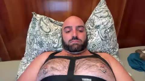 Hairy Guy online show from 08-03-26, 06:44