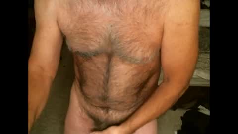 Hairy pecs online show from 02-11-26, 07:24