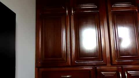 Snapshot of hairyweedman chatting on 01-04-25, 07:44 NN420 online show from 01-04-25, 07:44