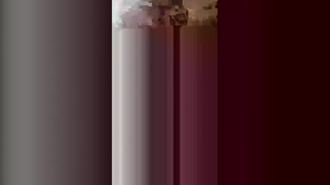 Snapshot of halfoftwelve chatting on 04-01-26, 02:14 halfoftwelve online show from 04-01-26, 02:14