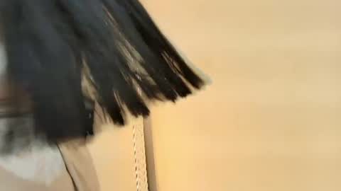 Hallie Stone online show from 06-12-26, 11:42