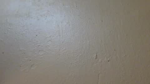 Snapshot of hamhead71 chatting on 01-27-25, 06:52 hamhead71 online show from 01-27-25, 06:52