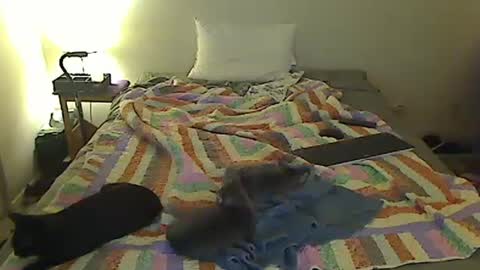 hammerthatthang73 online show from 10-18-25, 07:20