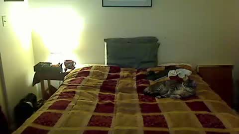 hammerthatthang73 online show from 04-04-26, 05:06