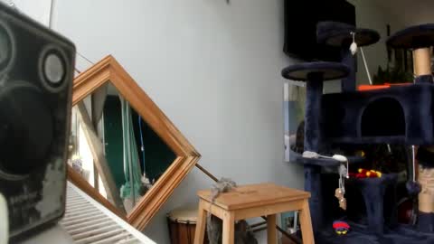 Snapshot of handncocknocum chatting on 02-25-25, 10:47 handncocknocum online show from 02-25-25, 10:47