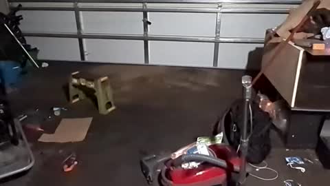 handsomerob42 online show from 11-23-25, 06:57