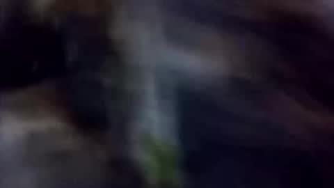 Snapshot of happydick69a chatting on 10-02-25, 01:29 happydick69a online show from 10-02-25, 01:29