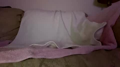 Snapshot of hardcock2622 chatting on 02-11-26, 06:51 Slim West Cox online show from 02-11-26, 06:51