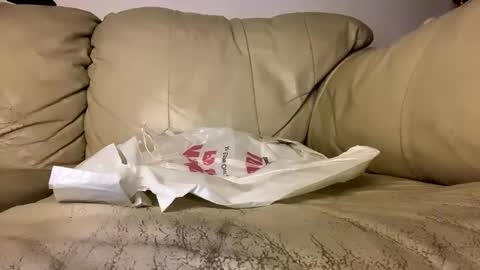 Snapshot of hardcock2622 chatting on 02-19-26, 08:10 Slim West Cox online show from 02-19-26, 08:10