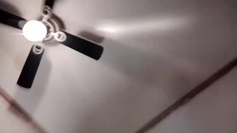 hardcock4u1973 online show from 03-08-25, 08:44