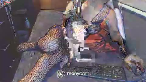 Irina online show from 03-03-25, 12:48