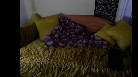 hardigan online show from 12-26-24, 02:22