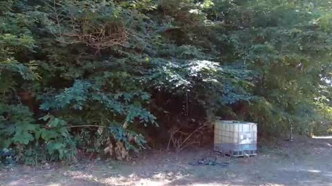 Snapshot of hardworkertn chatting on 09-23-25, 06:33 hardworkertn online show from 09-23-25, 06:33