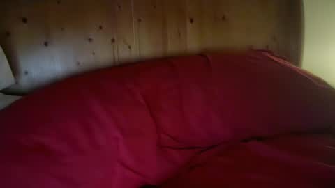 Snapshot of haroldhaller chatting on 01-13-26, 01:38 Harry H online show from 01-13-26, 01:38