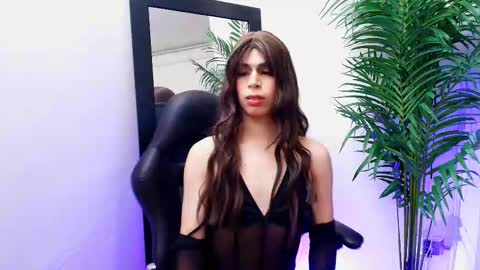 Snapshot of harper_brown1 chatting on 10-11-25, 06:56 Harper  online show from 10-11-25, 06:56