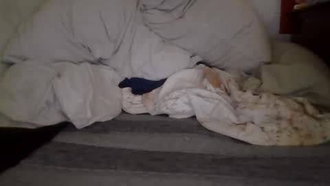 Snapshot of harry1cannary chatting on 10-07-25, 08:22 harry1cannary online show from 10-07-25, 08:22