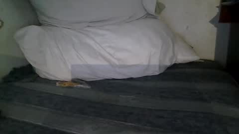 Snapshot of harry1cannary chatting on 01-13-26, 03:23 harry1cannary online show from 01-13-26, 03:23