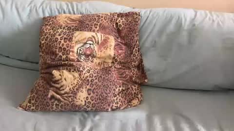 havedream1m online show from 02-10-26, 10:08