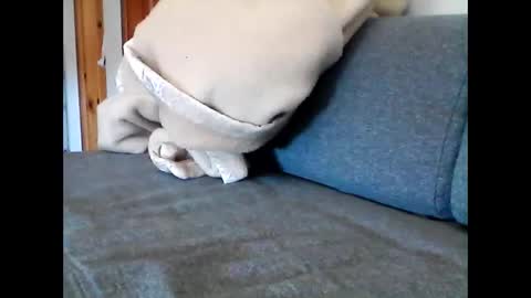 Snapshot of havier282874 chatting on 05-22-26, 08:53 havier282874 online show from 05-22-26, 08:53