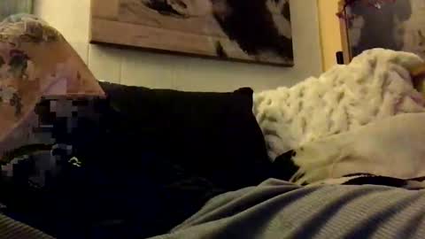 Snapshot of hbsethy chatting on 01-11-25, 07:06 HBSethy online show from 01-11-25, 07:06