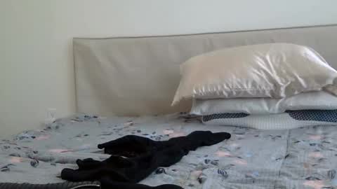 heatwavee online show from 02-02-25, 08:08