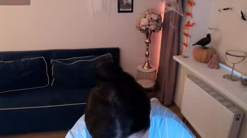 Snapshot of heaven_chloe chatting on 11-02-25, 01:35 Heaven girl online show from 11-02-25, 01:35