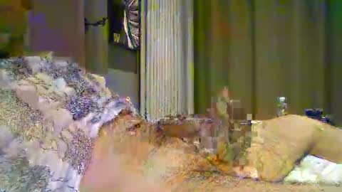 Snapshot of heddamedda59 chatting on 04-03-26, 04:16 heddamedda59 online show from 04-03-26, 04:16