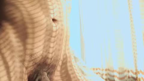 Snapshot of heliero chatting on 02-03-26, 11:32 Helio online show from 02-03-26, 11:32