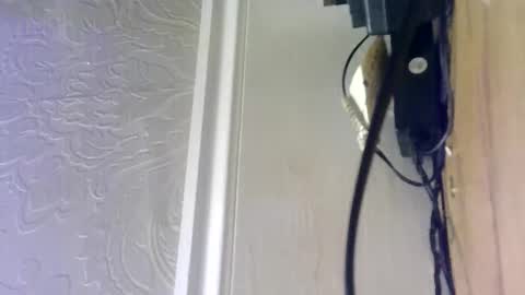 hellobunbunx0 online show from 12-27-24, 04:43