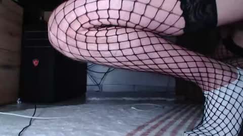 Snapshot of hibo66 chatting on 12-16-25, 03:11 InMyAss online show from 12-16-25, 03:11