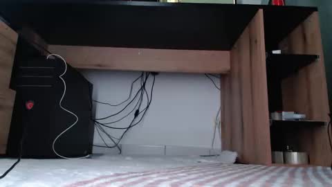 Snapshot of hibo66 chatting on 01-11-26, 03:33 InMyAss online show from 01-11-26, 03:33