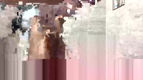 Snapshot of hightogetby chatting on 01-11-25, 08:43 CRIP Lee online show from 01-11-25, 08:43