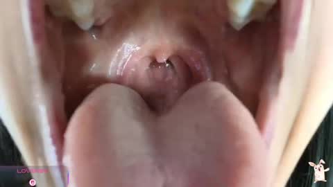 hinata online show from 04-24-26, 11:29