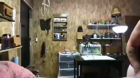 Snapshot of hippostixs chatting on 10-13-25, 07:08 Krush Vibrations online show from 10-13-25, 07:08