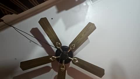 Snapshot of hoglegg99384194 chatting on 01-13-25, 06:27 hoglegg99384194 online show from 01-13-25, 06:27