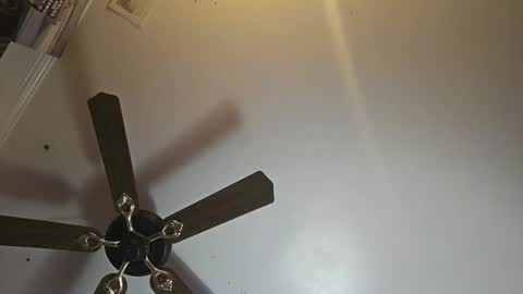 Snapshot of hoglegg99384194 chatting on 11-02-25, 11:01 hoglegg99384194 online show from 11-02-25, 11:01