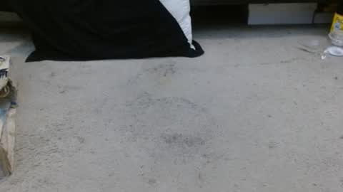 Holly Hawkes online show from 01-30-25, 04:27