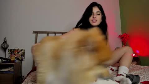 Snapshot of hollyshit_ chatting on 12-24-24, 03:49 hollyshit_ online show from 12-24-24, 03:49